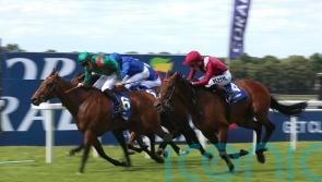 Mishriff team say &lsquo;primary focus&rsquo; is Juddmonte International defence