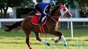 Japanese challenger King Hermes limbers up for July Cup