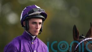 Ryan heading to Newmarket with strong book of rides