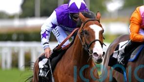 Goodwood possibility for Calling The Wind