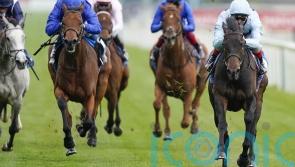 Walker backing Primo Bacio to make Falmouth splash