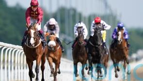 Lion Of War steps up for Superlative challenge