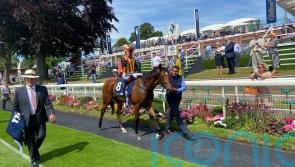 Summer special from Flotus on the Knavesmire