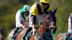 Bless Him picks up deserved big handicap success