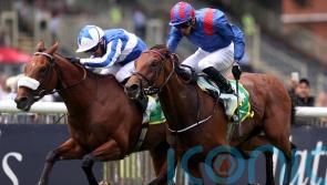 Haggas hoping for rain for Dubai Honour