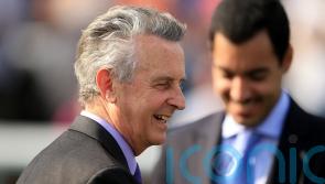 Bolger fields Boundless Ocean in search of ninth Meld success