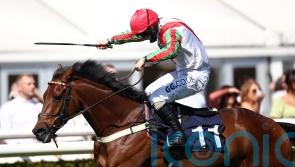 Bowen has Francky primed for Plate repeat bid