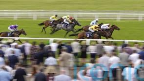 Five meetings cancelled due to extreme heat warning