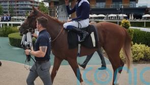 Chateau bags Rose Bowl glory for Balding and Buick