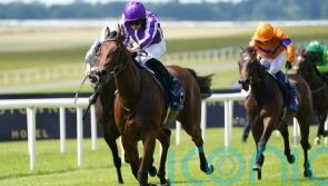 Little Big Bear bags impressive Anglesey victory