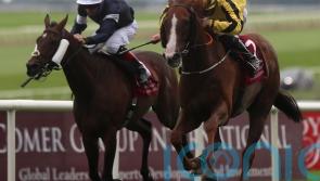 Irish Leger repeat on the cards for Sonnyboyliston