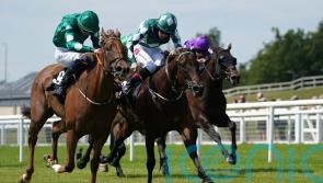 Davison eager for Mooneista to return to winning ways