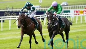 Brad The Brief given French mission