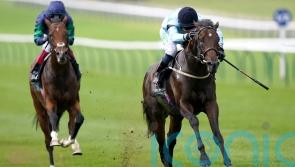 Royal Patronage to continue career overseas