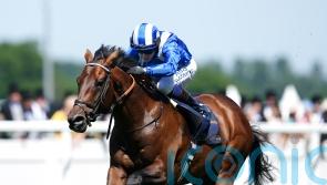 Haggas looks to Baaeed for first Sussex success