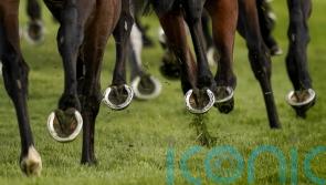 National Horseracing College sustains &lsquo;significant&rsquo; damage after fire