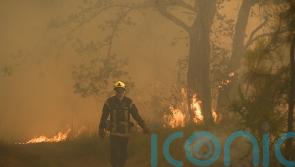 Stop playing politics while &lsquo;Europe burns&rsquo;, Donnelly tells opposition