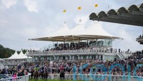 Jiffy out to bag Vintage victory for Brisland