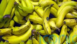 European study reveals potassium-rich foods reduce negative effect of salt in women's diets&nbsp;