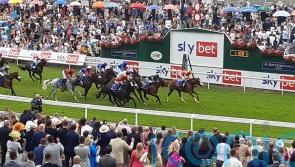 Gale Force Maya too strong for York rivals