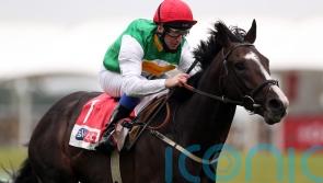 What might have been, but Dwyer thrilled to see Pyledriver rule in King George