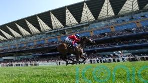 No immediate plans for Inspiral after Newmarket reverse