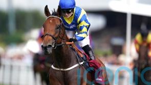 Trueshan camp keen to defend Goodwood Cup crown