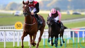 Emmet Mullins&rsquo; pair primed for Galway Plate challenge
