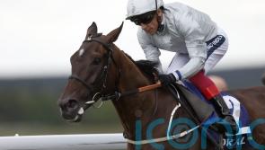 Forest Falcon swoops for Goodwood glory