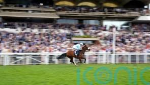 The Platinum Queen rockets into Nunthorpe reckoning