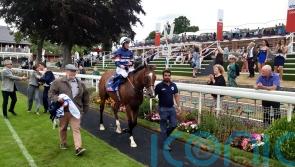 Sir Busker ready to take on International big guns