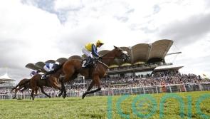 Cambridgeshire target for Goodwood hero Ajero