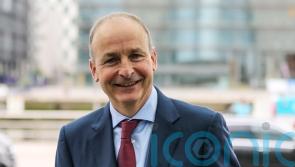 Taoiseach releases white-tailed eagle chicks into the wild