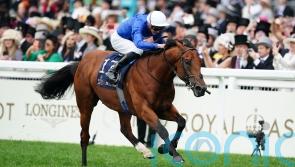 Doyle confident Naval Crown can sparkle at Deauville