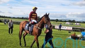 Well-regarded Hellsing back on the winning trail at Tipperary