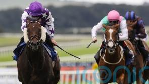 Go Bears Go rises to the top in Phoenix Sprint Stakes