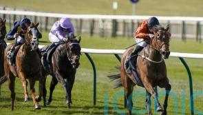 Wall hoping Hungerford call pays off for Double Or Bubble