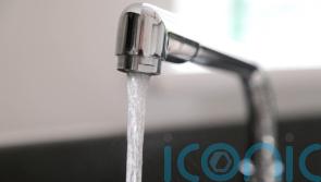 GUIDE: Ways to cut back on water use at home as temperatures soar