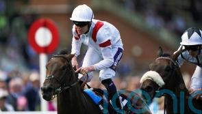 Ferguson hoping Voltigeur can set Deauville Legend up for Melbourne