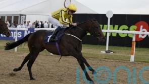 Unbeaten Clearpoint heading for Gimcrack at York
