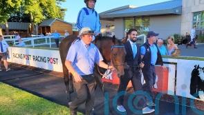 Boundless Ocean books Irish Champion Stakes ticket