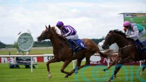 Futurity next stop for unbeaten Proud And Regal