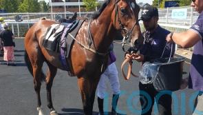 Oj Lifestyle shocks Newbury field with 125-1 success