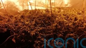 Man charged after seizure of 400,000 euro worth of cannabis at Galway house