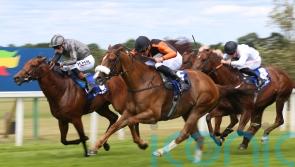 Raasel ready to take Group One plunge in Nunthorpe