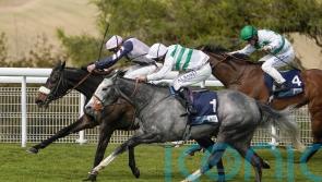 Morris relishing latest opportunity with Alpinista