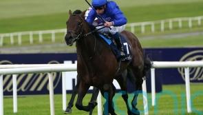 Native Trail &lsquo;thriving&rsquo; on home workload in readiness for York