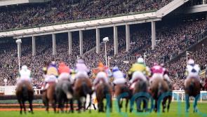 Cheltenham to cap Festival attendances in 2023