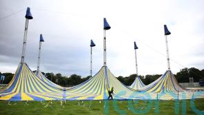 HSE anonymous drug-testing trial to take place at Electric Picnic