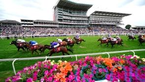 Shouldvebeenaring leaves it late for big sales prize